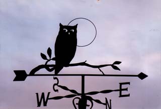 Owl on Branch weather vane